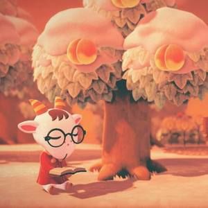 Meet your Posher, Luna